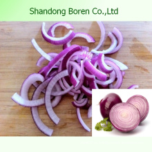 Свежие овощи Red Onion Здоровое питание Fresh Onion